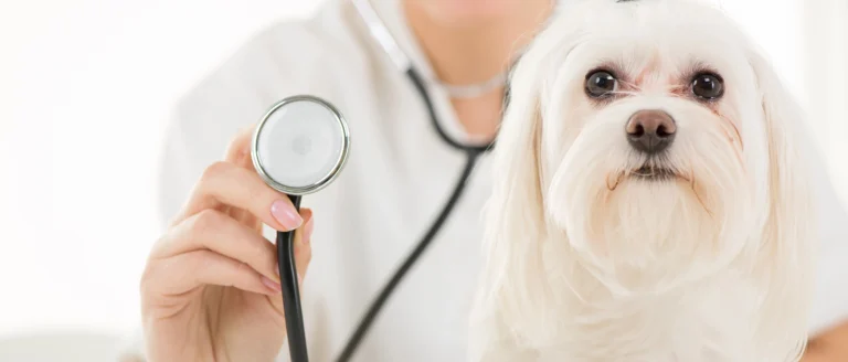 Household Allergen Protection: The Scientific Application of Air Filtration Technology