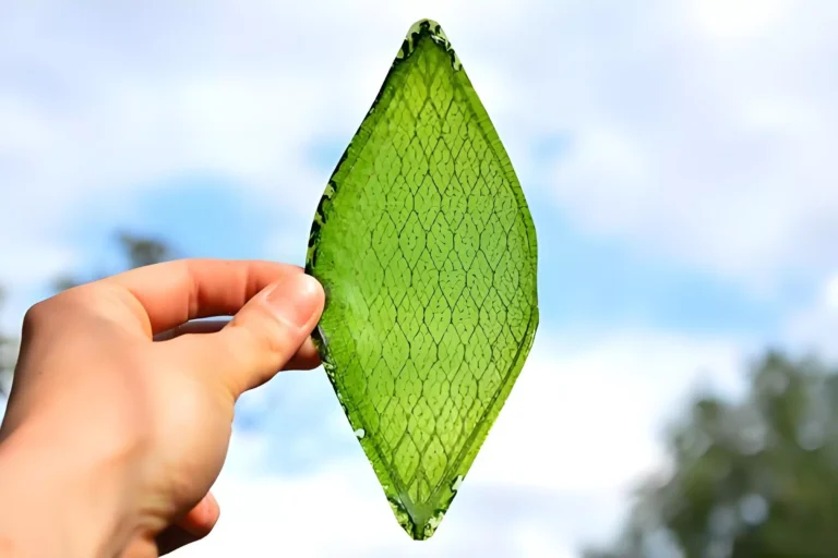 Bionic Design of HEPA/ULPA Filters: Structural Innovation, the Future of Filtration